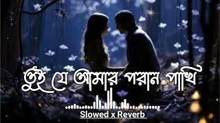 Tui je amar poran pakhi  তুই যে আমার পরান পাখি | Bangla Lofi Song | Lofi ReMix | LoFi MBC |