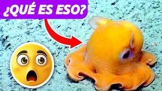 ¡Animales Increíbles! Datos Curiosos que Te Dejarán Boca Abierta 