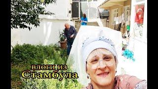 Косим траву, бахчекат в Турции #tatyanaobukhovaistanbul #влог #vlog #turkey