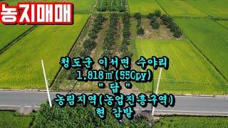 청도농지매매[NO-479].청도군 이서면 수야리.1,818㎡(550py).농사짖기 좋은 감밭.#청도땅매매