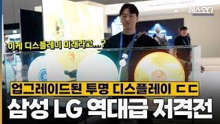 삼성️LG 자존심을 건 투명 디스플레이 저격전 | IFA Ep2