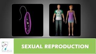 SEXUAL REPRODUCTION