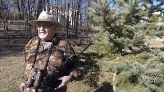 Awesome Hunting Tips With An Air Rifle