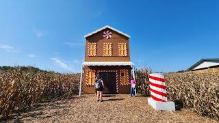 Beachmont Corn Maze - Candyland Theme - Full Maze Walkthrough