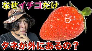 問題：果物の中でなぜイチゴだけタネが外側についている？【試験に出ない生物学】