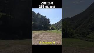 [빈집여지도] 폐교 공시지가 71,161,000원(2023년 기준)  #shorts