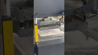 TJ550 Automatic Hot Foil Stamping Machine