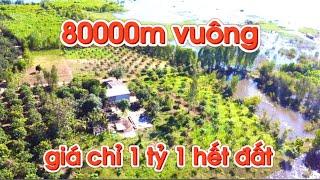 Đã bán 80000m vuông giá chỉ 1 tỷ 1 hết đất tại đồng nai có view lòng hồ tri an đẹp