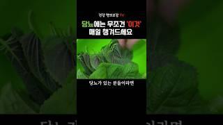 당뇨인 주목! 매일 챙겨 먹어야 하는 음식 3가지 #건강 #건강 정보 #당뇨 #혈당 #당뇨관리 #당뇨병