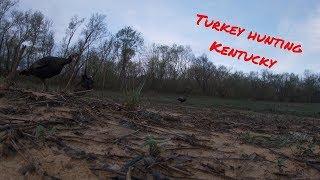 Turkey hunting Kentucky long beards