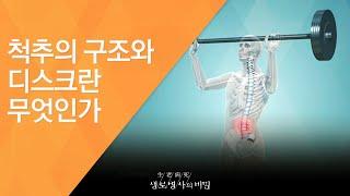 척추의 구조와 디스크란 무엇인가 - (2016.2.24_572회 방송)_허리 통증 탈출, C커브를 유지하라