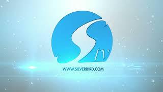 Silverbird Television