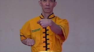 Wing Chun: Lesson 2