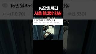 16만원짜리 #서울 #월셋방 #현실조언