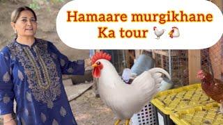 Canada ke ghar mein Hamaara murgikhana  #poultryfarming #murgichicks