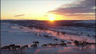 Mari Boine - Gula Gula (Hear the voices of the foremothers) by Jan Helmer Olsen