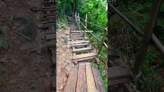 What Terrain rating would you give this ‘Stairway To Heaven’ geocache that I found in Thailand? 