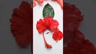 ganpati making with flowers/ganesha flower decoration at home/ganesha home decor Diy/ganesha rangoli