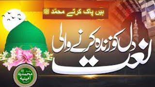 Heart Touching Naat||Hain Pak Kartay Muhammad (S.A.W)||Idreesia Naat||