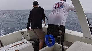 2nd Kingfish caught during Pompano Beach Saltwater Shootout for team Bottomline FTL on 7/18/2020