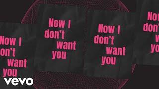 Riton, RAYE - I Don't Want You (Lyric Video)