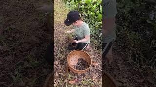 Trapping a lot of big eel fish with survival skills