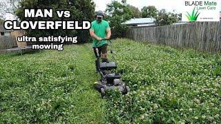 SATISFYING lawn mowing of a CLOVER FIELD - long grass cutting Australia