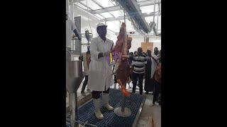 #WFA Modern Killer Cows Abattoir Meat Processing Line Plant Factory For Beef Cattle Slaughterhouse#