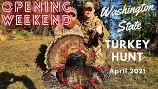 Public land Turkey hunting {Eastern Washington State}