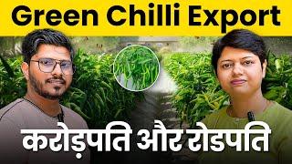 How to Export Green Chilli: A Complete Guide for Exporters | KDSushma