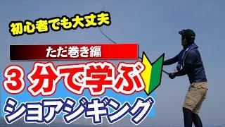 3分で学ぶショアジギング　ただ巻きアクション編