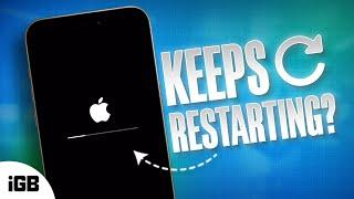 Why Does My iPhone Keep Restarting? Let's Fix this