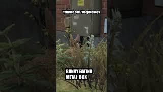 Animal Trolling in GTA 5