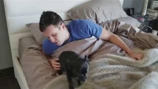 Funny reaction to  bitcoin and altcoin  crash  by Doug Polk Crypto