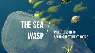 the Sea Wasp