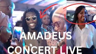 massamba Amadeus en concert live