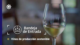 Vinos de producción sostenible | Bandeja de entrada