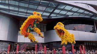 Acrobatic Lion Dance (舞狮高桩表演 Múa Lân) by Khuan Loke 群樂 @ The Starling Mall, Malaysia I CNY2023 (4k)