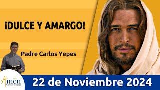 Evangelio De Hoy Viernes 22 de Noviembre 2024 #PadreCarlosYepes l San Lucas 19,45-48