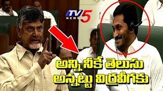 EX CM Chandrababu Vs YS Jagan Mohan Reddy | AP Assembly Budget Sessions 2019 | TV5 News