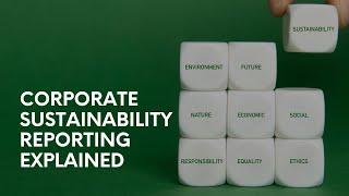 Sustainability Reporting Explained