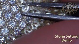 Engraver.com Stone Setting Demo with Leica S9i Microscope