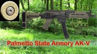 The Palmetto State Armory AK-V.  Their version of the Vityaz SN.