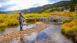 Streamer Fly Fishing for Big Trout for 2 Days! (Colorado Pt. 2)