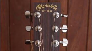 Martin & Co Semi Acoustic Guitar Quick Overview | Mux Sound