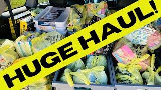 FREE!! .25!! .50!! | DOLLAR GENERAL CLEARANCE EVENT HUGE HAUL!! | 10/4-10/10