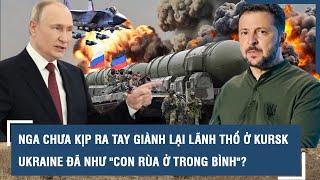 Nga chưa kịp ra tay giành lại lãnh thổ ở Kursk, Ukraine đã như "con rùa ở trong bình"? l VTs