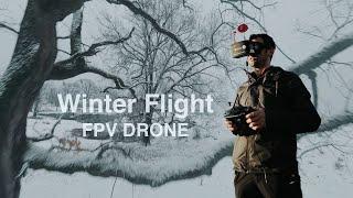 Flight thru Trees in Winter Time - Cinematic FPV (Romania - Maramures)