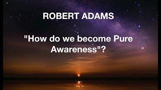 Robert Adams: "How do we become Pure Awareness"?