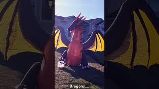 2 Dragon Inflatables #halloweeninflatables #dragon #halloween #inflatable #spooky #gemmy #dragons